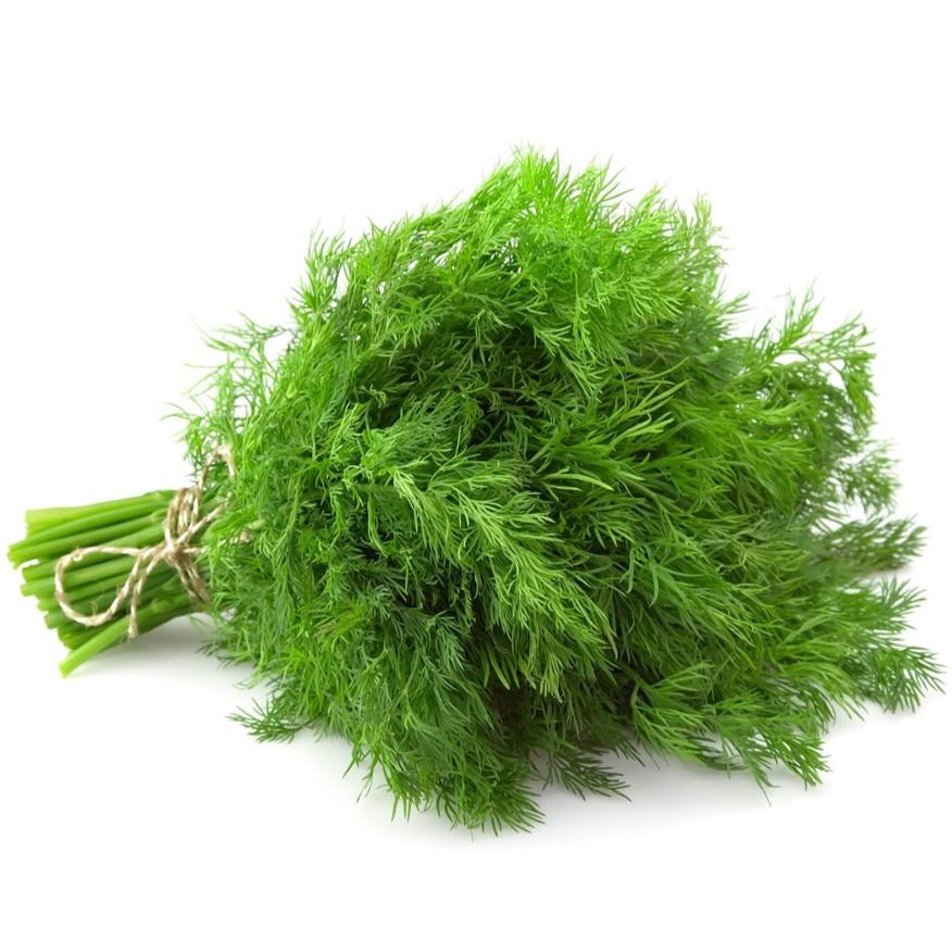 Dill - Fresh Grown Farms LLC